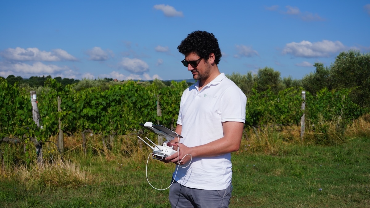 Grazie ai dati di rilievo ottenuti dai droni e dalle analisi di Agrobit, a Mulini di Segalari la vendemmia segue una logica 'a macchia di leopardo'